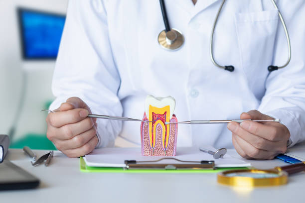 Best Emergency Dental Care for Broken or Chipped Teeth in Mosheim, TN
